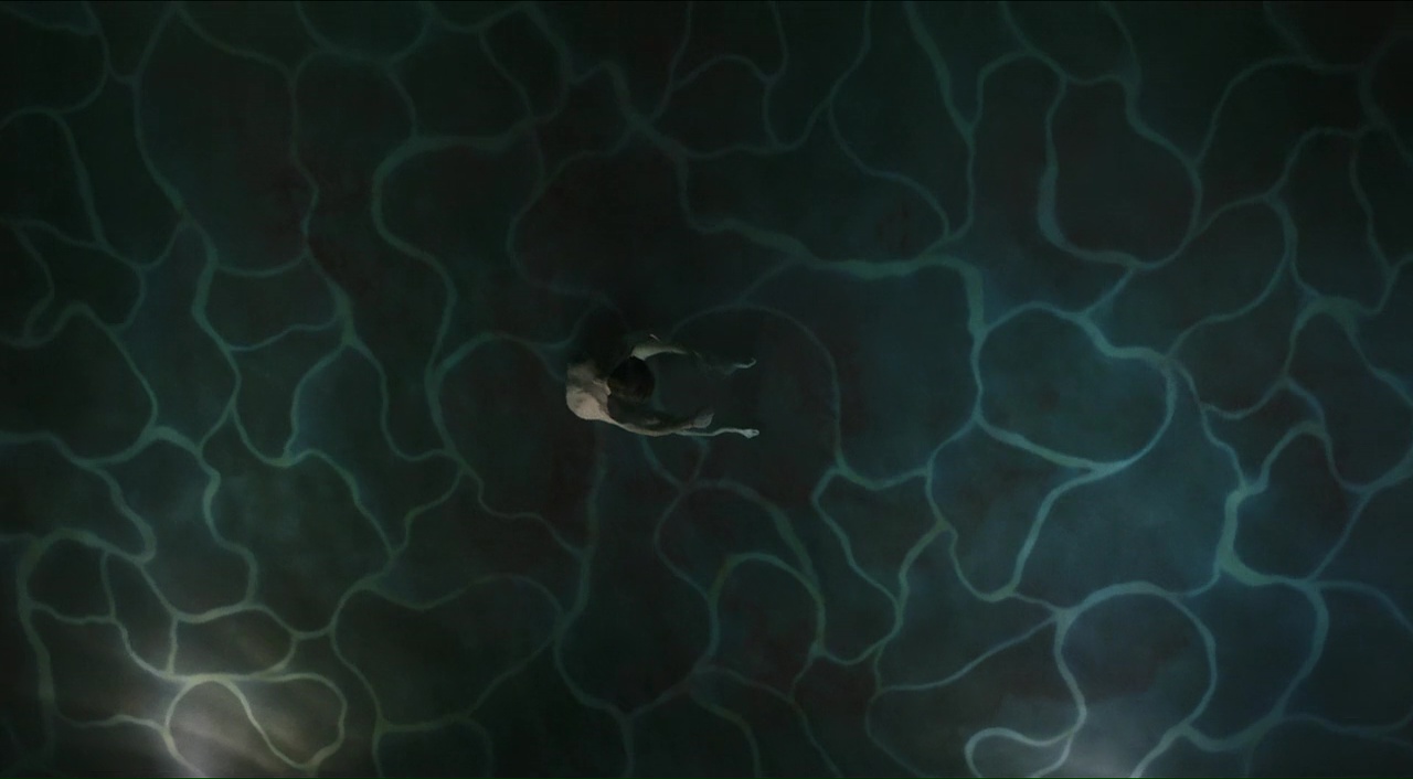 מתוך סרטו של לוקה גואדניניו, ״A Bigger Splash״ (״גלים גבוהים״)